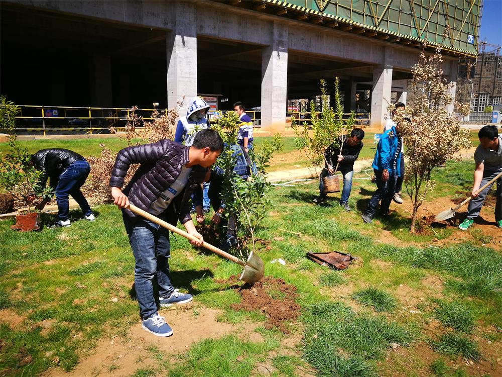 三公司第二直管部植樹修.JPG